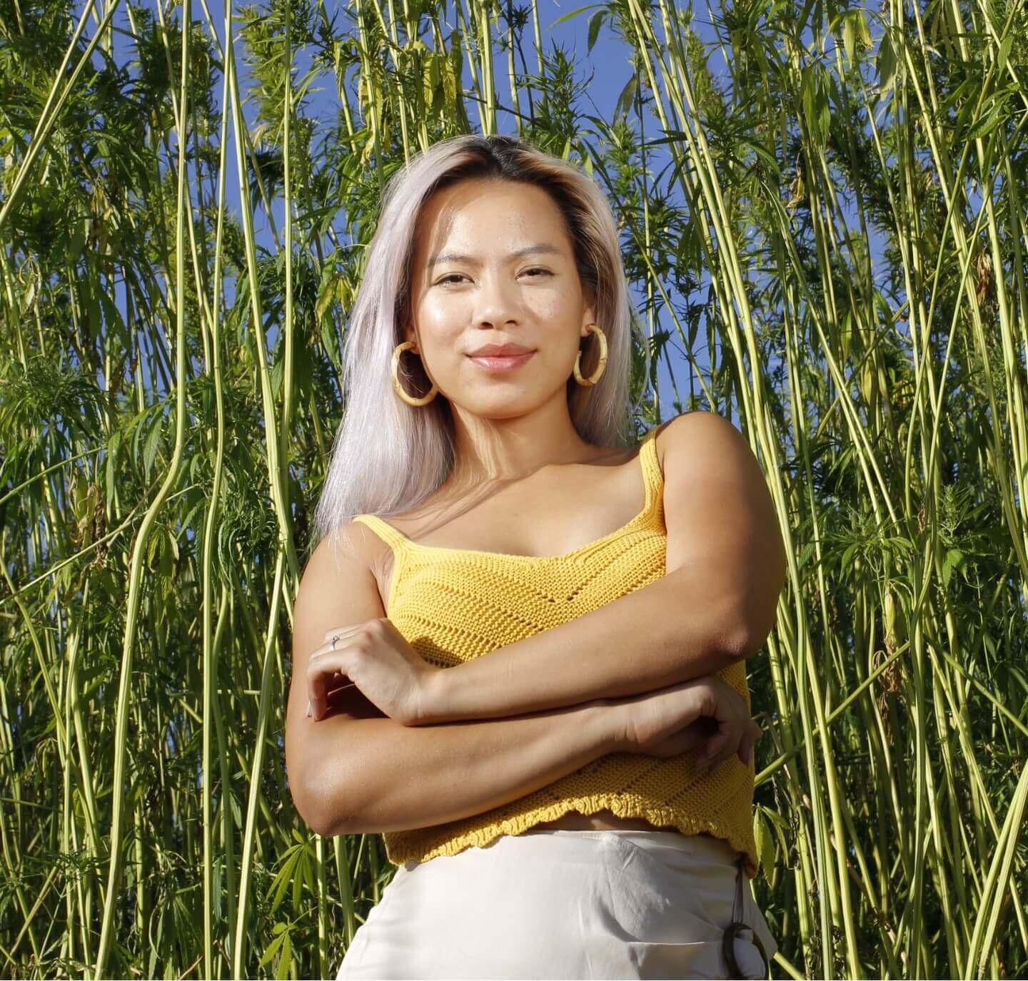 A Daye ambassador standing among tall hemp plants